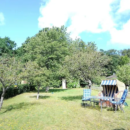 Derya, Friedrichstrasse *